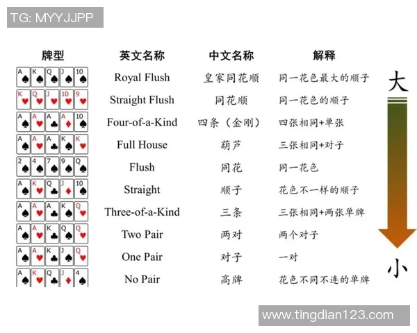 德州扑克术语详解与游戏策略技巧分享从盲注到全下的全面解析